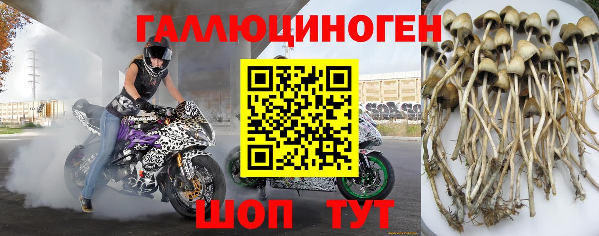 Псилоцибиновые грибы ЛСД Павловский Посад