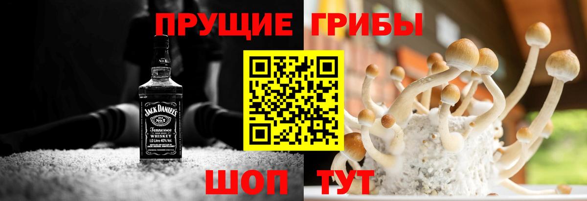 Павловский Посад  Галлюциногенные грибы ЛСД  где купить наркоту  Псилоцибиновые грибы мицелий  Вход с VPN 